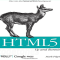 Top 8 Professional HTML5 Learning Books For Beginner to Advanced